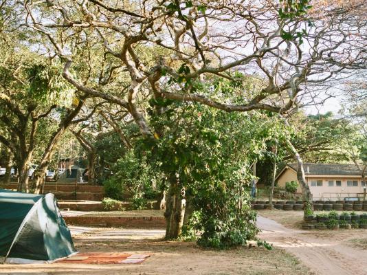 Natures Haven Lodge - Bluff Eco Park - 281834