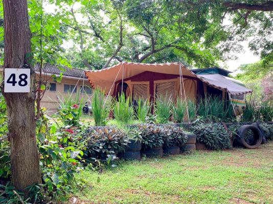 Natures Haven Lodge - Bluff Eco Park - 281835
