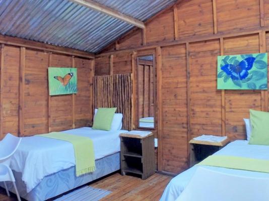 Natures Haven Lodge - Bluff Eco Park - 281883