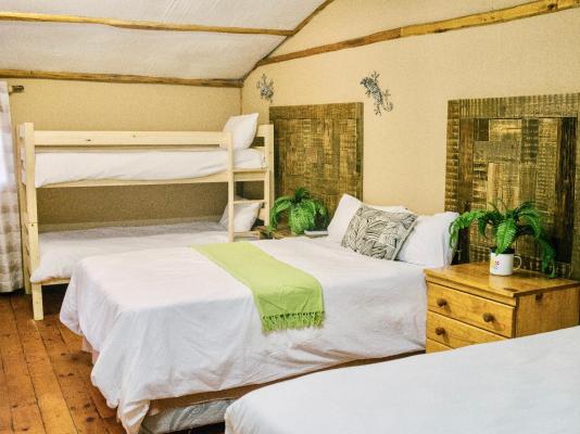 Natures Haven Lodge - Bluff Eco Park - 281887