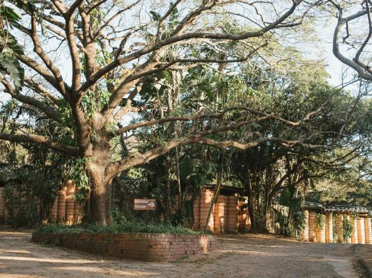 Natures Haven Lodge - Bluff Eco Park - 281896
