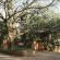 Natures Haven Lodge - Bluff Eco Park - 281896