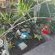 An Exclusive Guest House Too - 281989
