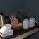 An Exclusive Guest House Too - 282043