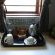 An Exclusive Guest House Too - 282056