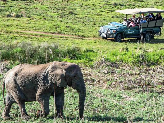 The Safari Lodge - 282105