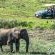 The Safari Lodge - 282105