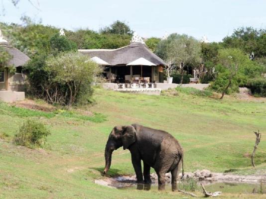 The Safari Lodge - 282108