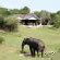 The Safari Lodge - 282108