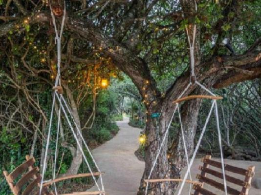 The Safari Lodge - 282112