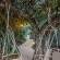The Safari Lodge - 282112