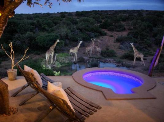 The Safari Lodge - 282116