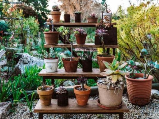 Woodlands Self-Catering - Garden