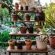 Woodlands Self-Catering - Garden