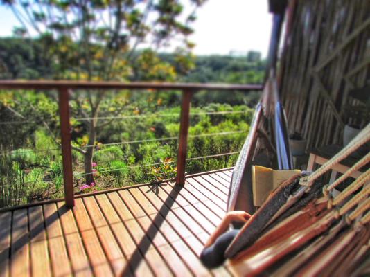 Woodlands Self-Catering - 282237