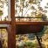 Woodlands Self-Catering - 282242