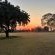 Ntoma Safari & Golf Villa - Garden