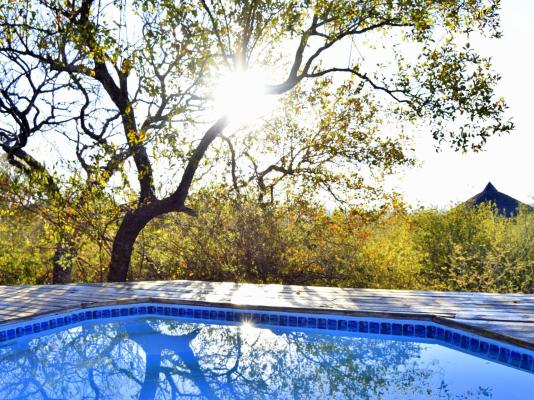 Thulani Game Lodge & Eco Estate - 282391