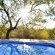 Thulani Game Lodge & Eco Estate - 282391