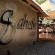 Thulani Game Lodge & Eco Estate - 282395
