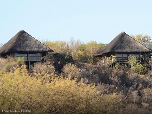 Thulani Game Lodge & Eco Estate - 282398