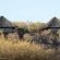 Thulani Game Lodge & Eco Estate - 282398