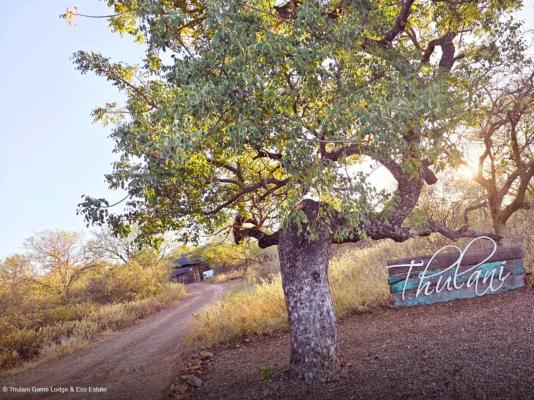 Thulani Game Lodge & Eco Estate - 282399
