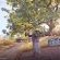 Thulani Game Lodge & Eco Estate - 282399