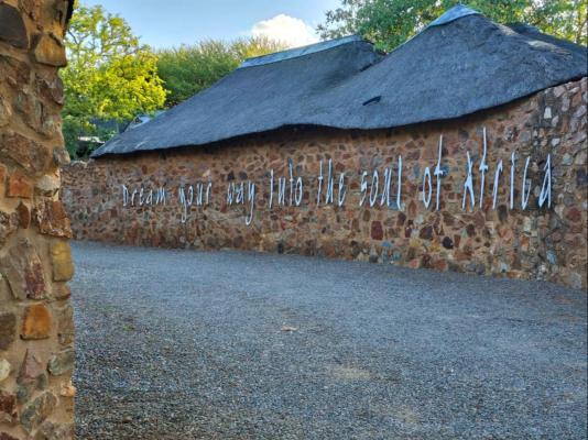 Thulani Game Lodge & Eco Estate - 282401