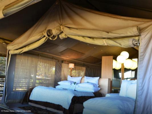 Thulani Game Lodge & Eco Estate - 282440