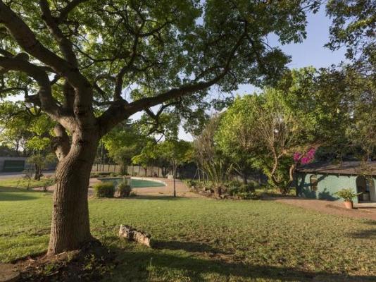 Dynasty Forest Sandown Serviced Apartments - 282459