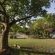Dynasty Forest Sandown Serviced Apartments - 282459