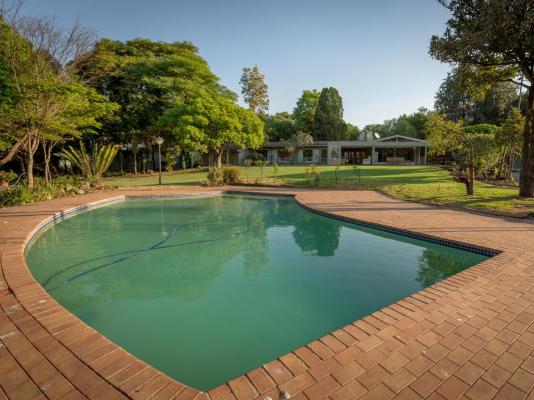 Dynasty Forest Sandown Serviced Apartments - 282533