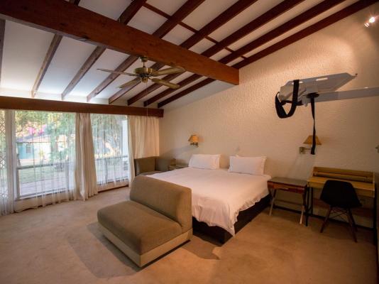 Dynasty Forest Sandown Serviced Apartments - 282536