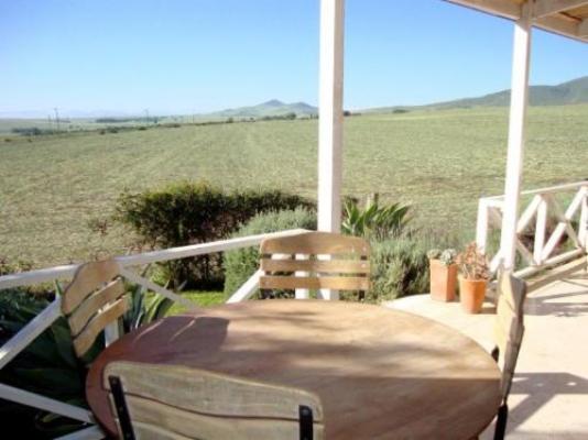 Aloe Cottage - Patio
