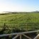 Aloe Cottage - Natural landscape