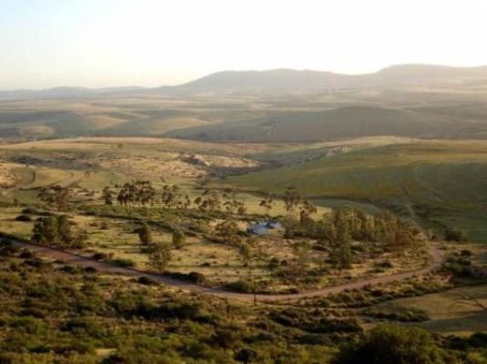 Aloe Cottage - Natural landscape
