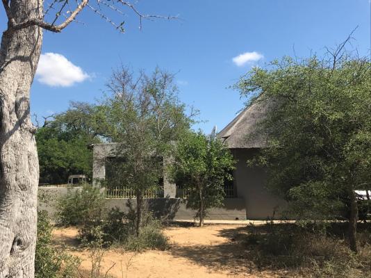 Leadwood Tree Safari Lodge 695 - 282728