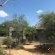 Leadwood Tree Safari Lodge 695 - 282728