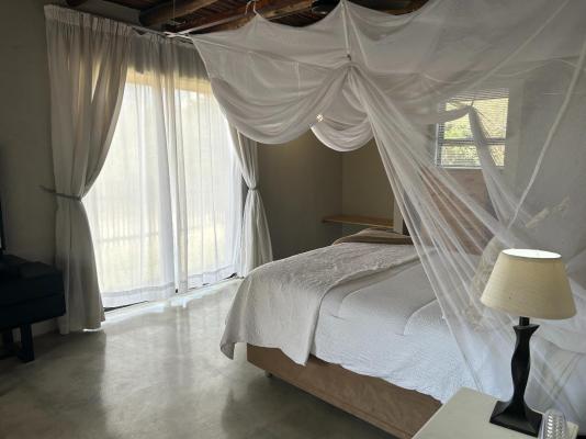 Leadwood Tree Safari Lodge 695 - 282737