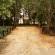 Toadbury Hall Country Hotel - 282848