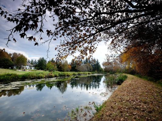 Toadbury Hall Country Hotel - 282849