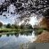 Toadbury Hall Country Hotel - 282849