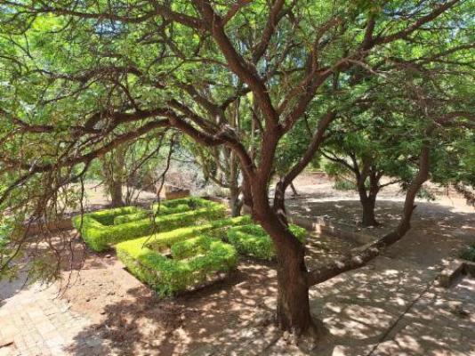 Bosheuvel Country Estate - Garden