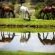 Cradle Valley - Natural landscape