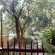 Cradle Valley - 283041