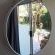 Cradle Valley - 283059