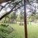 Cradle Valley - 283072