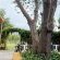Cradle Valley - 283099