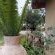 Cradle Valley - 283125